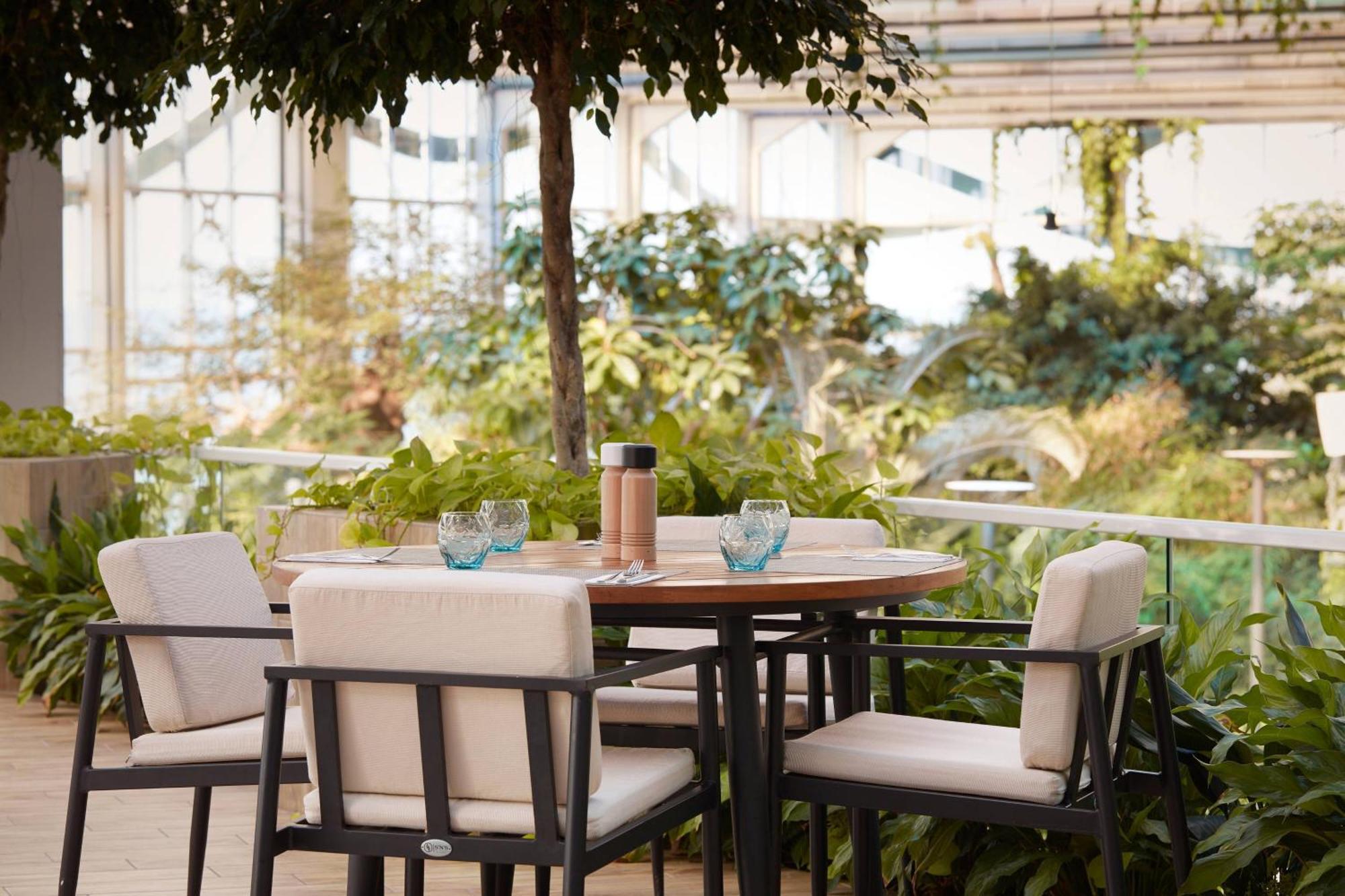 Paragraph Resort & Spa Shekvetili, Autograph Collection Buitenkant foto The Terrace