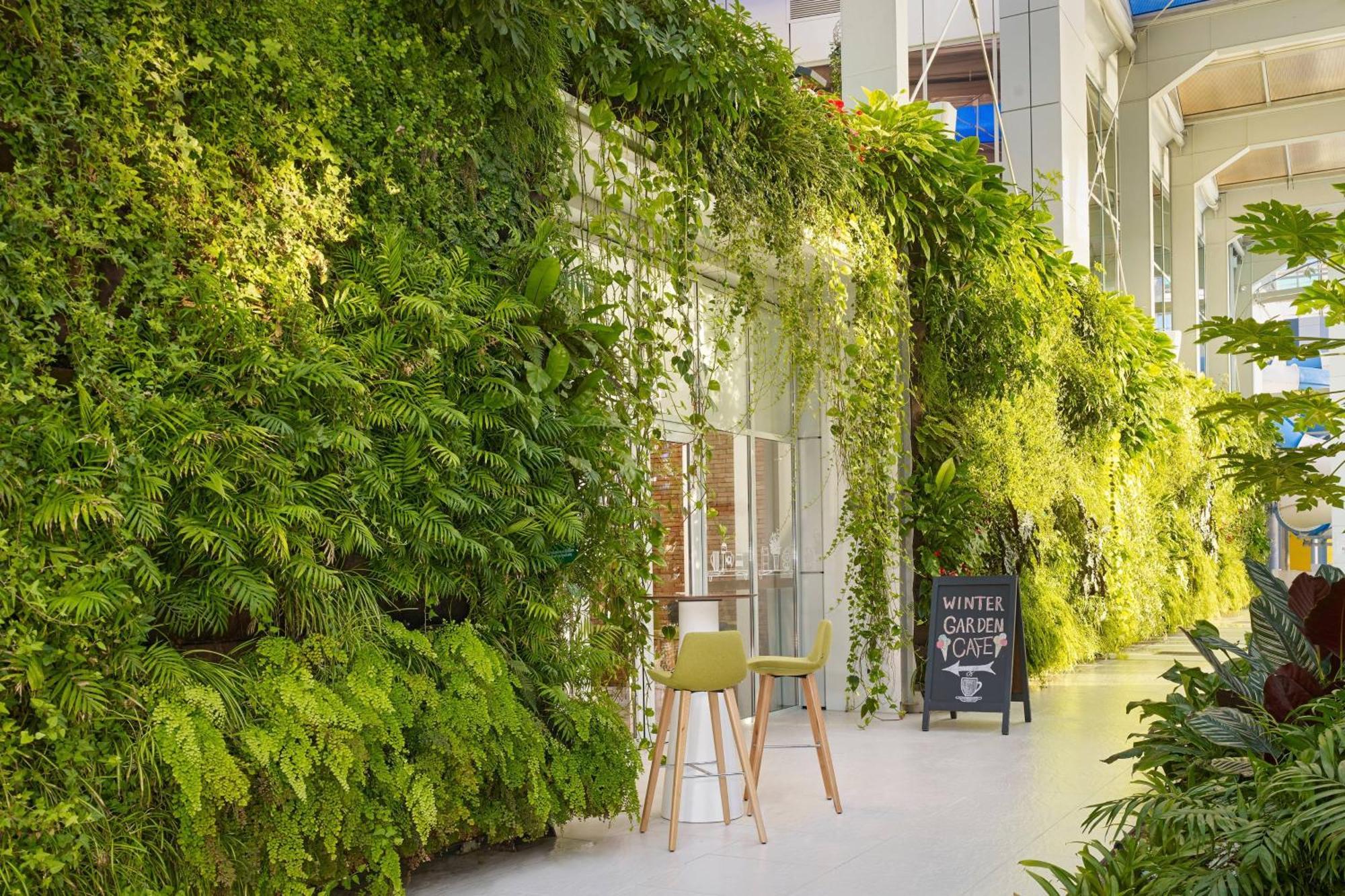 Paragraph Resort & Spa Shekvetili, Autograph Collection Buitenkant foto Living wall